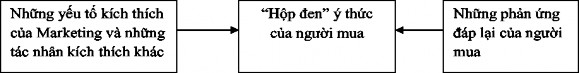 Hình 2 1 Mô hình tổng quát hành vi người tiêu dùng theo Kotler 2004 Nguồn Hành vi 1