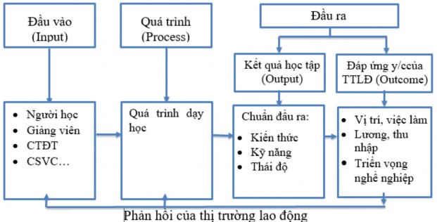 Hình 1 1 Mô hình quản lý đào tạo theo quá trình Mô hình quản lý đào tạo theo 1