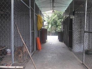 Hình 3 26 Khu vực nuôi chó bố mẹ làm giống và khu vực nuôi ổ sau khi đẻ con 1