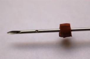 Hình 3 28 Ống tiêm gây mê khi gắn chip điện tử Hình 3 29 Chip điện tử máy dò 6