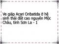 Ve giáp Acari Oribatida ở hệ sinh thái đất cao nguyên Mộc Châu, tỉnh Sơn La - 1