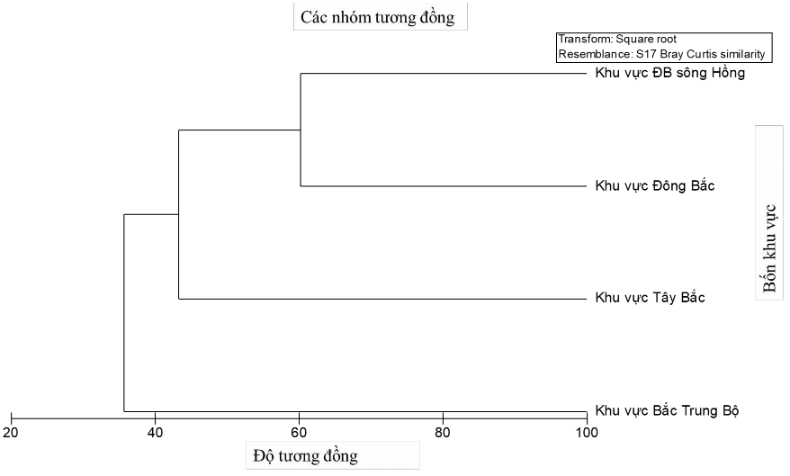 Hình 3 5 CLUSTER độ tương đồng thành phần loài Ve giáp giữa bốn khu vực Từ 1