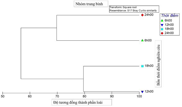 Hình 3 22 CLUSTER tương đồng thành phần loài Ve giáp giữa bốn thời điểm Như 1
