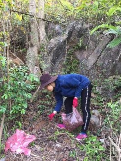 SINH CẢNH THU MẪU TẠI HUYỆN MỘC CHÂU TỈNH SƠN LA 1 A 1 B 1 C Hình 1 Thu mẫu tại 1