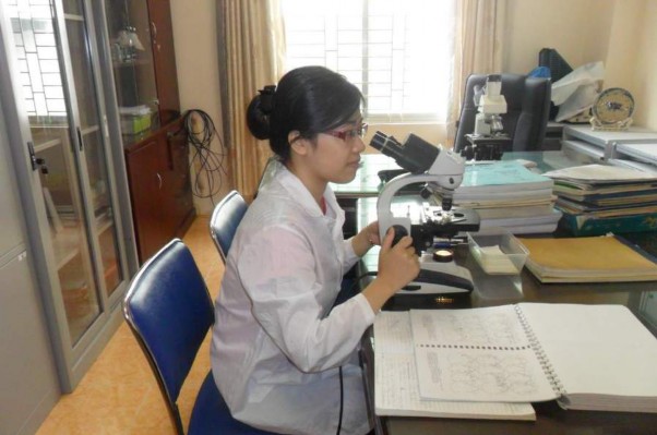 14 B Hình 14 A Quá trình nhặt mẫu B Định loại mẫu Ve giáp Acari Oribatid Tại trung 10