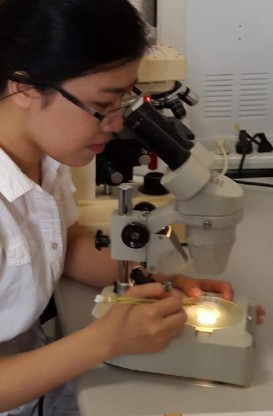 14 A 14 B Hình 14 A Quá trình nhặt mẫu B Định loại mẫu Ve giáp Acari Oribatid Tại 9