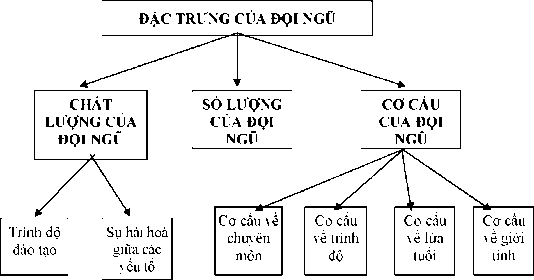 Cơ cấu đội ngũ giáo viên trường cao đẳng thường được nghiên cứu dựa 1