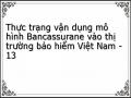 Thực trạng vận dụng mô hình Bancassurane vào thị trường bảo hiểm Việt Nam - 13