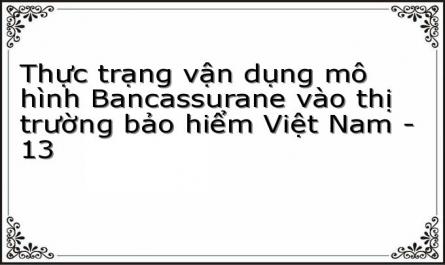 Thực trạng vận dụng mô hình Bancassurane vào thị trường bảo hiểm Việt Nam - 13