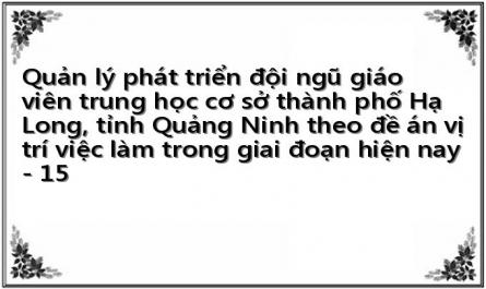 Quản lý phát triển đội ngũ giáo viên trung học cơ sở thành phố Hạ Long, tỉnh Quảng Ninh theo đề án vị trí việc làm trong giai đoạn hiện nay - 15