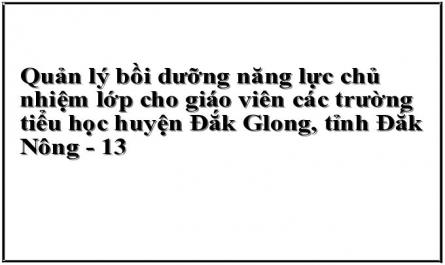 Quản lý bồi dưỡng năng lực chủ nhiệm lớp cho giáo viên các trường tiểu học huyện Đắk Glong, tỉnh Đắk Nông - 13
