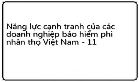Năng lực cạnh tranh của các doanh nghiệp bảo hiểm phi nhân thọ Việt Nam - 11