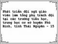 Phát triển đội ngũ giáo viên làm tổng phụ trách đội tại các trường tiểu học, trung học cơ sở huyện Phú Bình, tỉnh Thái Nguyên - 15