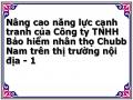 Nâng cao năng lực cạnh tranh của Công ty TNHH Bảo hiểm nhân thọ Chubb Nam trên thị trường nội địa - 1