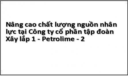 Nâng cao chất lượng nguồn nhân lực tại Công ty cổ phần tập đoàn Xây lắp 1 - Petrolime - 2