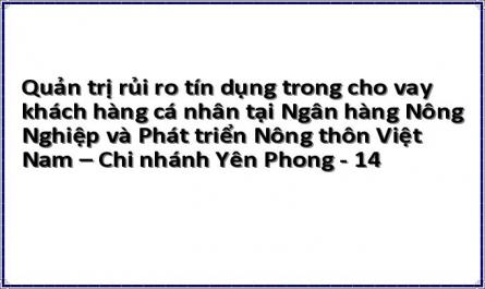 Quản trị rủi ro tín dụng trong cho vay khách hàng cá nhân tại Ngân hàng Nông Nghiệp và Phát triển Nông thôn Việt Nam – Chi nhánh Yên Phong - 14