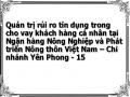 Quản trị rủi ro tín dụng trong cho vay khách hàng cá nhân tại Ngân hàng Nông Nghiệp và Phát triển Nông thôn Việt Nam – Chi nhánh Yên Phong - 15