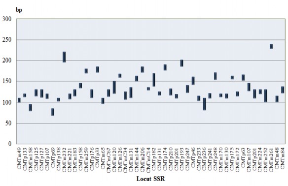Hình 3 13 Biến động kích thước alen tại các locut SSR nghiên cứu Tổng số 2