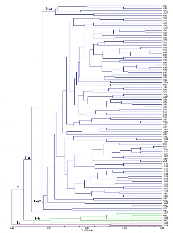 Hình 3 24 Sơ đồ hình cây về mối quan hệ di truyền của các mẫu giống bí đỏ 4