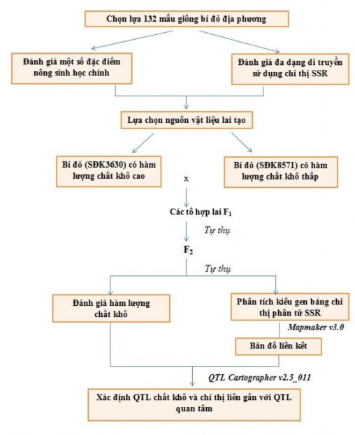 Hình 2 1 Sơ đồ cách tiếp cận nghiên cứu của luận án‌ 2 4 1 Phương pháp mô 1