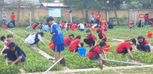 Hình 2 Học sinh nội trú tham gia lao động sản xuất trồng rau sạch Hình 3 Trung 3