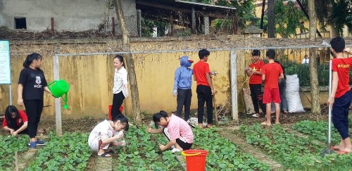 Hình 2 Học sinh nội trú tham gia lao động sản xuất trồng rau sạch Hình 3 Trung 4