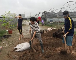 Đo kích thước nụ Đo đường kính tán TN đo chiều cao cây TN đo đường kính 3