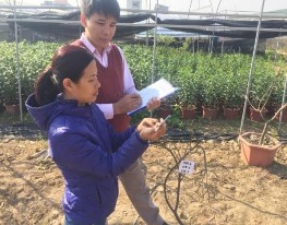 TN đo chiều cao cây TN đo đường kính thân TN đo chiều dài lá TN đo chiều rộng 5