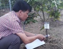 TN đo chiều dài lá TN đo chiều rộng lá Xử lý nhiệt độ trong nhà lưới Hoa 8