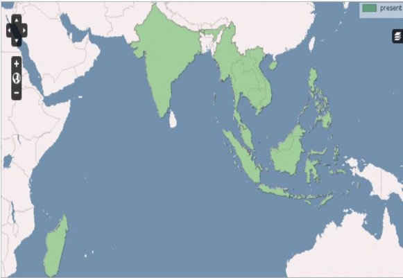 Hình 2 1 Vị trí phân bố của chi Ochna Ghi chú Màu xanh lá cây là vùng phân bố 1