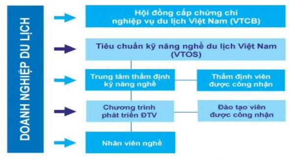Nguồn Tổng cục Du lịch Việt Nam Bảng kỹ năng nghề xác định chính xác những 1