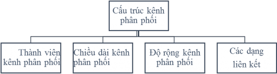 Hình 1 4 Các yếu tố cấu thành kênh phân phối bán buôn Thành viên kênh phân 5
