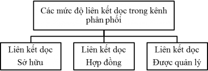 Hình 1 12 Các mức độ liên kết dọc trong hệ thống kênh phân phối bán buôn 1