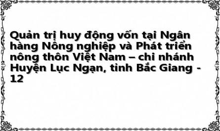 Quản trị huy động vốn tại Ngân hàng Nông nghiệp và Phát triển nông thôn Việt Nam – chi nhánh Huyện Lục Ngạn, tỉnh Bắc Giang - 12