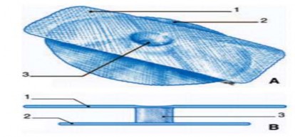 1 Tấm lưới nông 2 Tấm lưới sâu 3 Ống liên kết Hình 1 12 Tấm lưới PSH ® 3