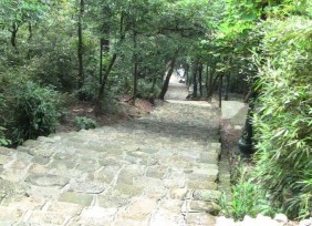 Ưu hợp Sú Đường hành hương dưới tán rừng Rừng tự nhiên nhìn từ trên cao 4