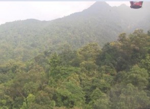 Rừng tự nhiên nhìn từ trên cao 89 Hình 1 Thảm thực vật rừng của rừng Quốc 5