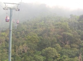 Rừng tự nhiên nhìn từ trên cao 89 Hình 1 Thảm thực vật rừng của rừng Quốc 6