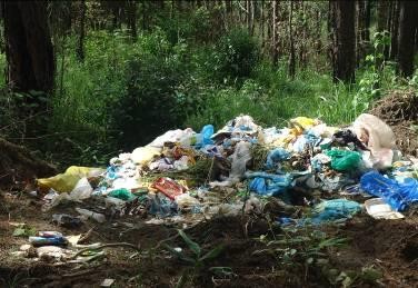 4 3 6 1 Rác thải Một trong những tác động xấu đến môi trường đó là việc 1