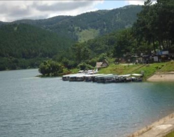 thu gom và phân loại được Công ty TNHH một thành viên đô thị Đà Lạt thu gom 2