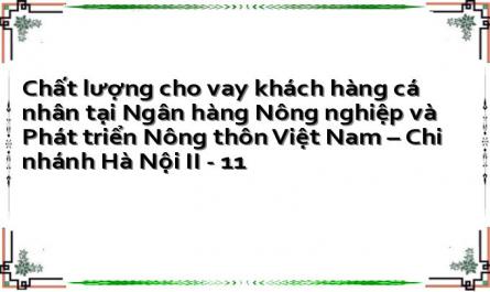 Chất lượng cho vay khách hàng cá nhân tại Ngân hàng Nông nghiệp và Phát triển Nông thôn Việt Nam – Chi nhánh Hà Nội II - 11