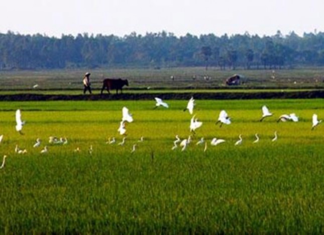 Nông thôn Việt Nam Nguồn vietnam vn DANH MỤC BẢNG Bảng 1 Số lượng khách du lịch 2