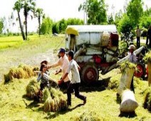 Du khách tham gia tour du lịch nông nghiệp ở An giang Nguồn Angiang gov vn cập nhật 2