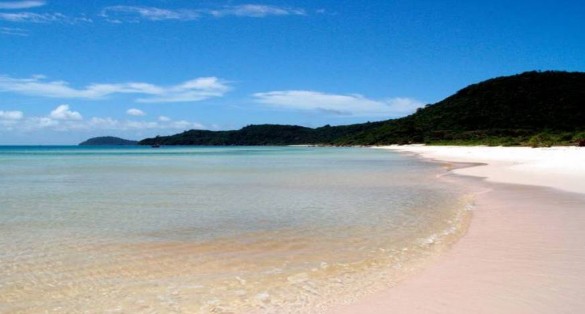 Nguồn Tác giả Hình 2 Lặn ngắm san hô đảo Phú Quốc Nguồn BQL bảo tồn biển 1