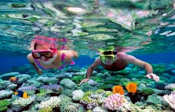 Nguồn BQL bảo tồn biển Phú Quốc Hình 3 Suối Tranh Phú Quốc Nguồn http www 2