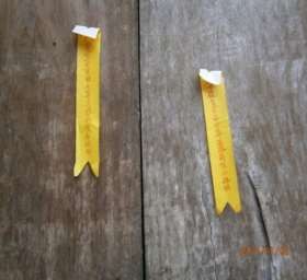 Hình 31 Học sinh được nhà trường cấp cho thẻ bán hàng tại quầy hàng của 20