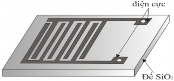 Hình 2 10 Điện cực răng lược trên đế Si SiO 2 a b c Hình 2 11 a b Điện cực 1