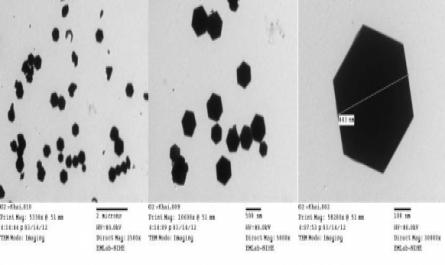 Tổng Hợp Kiểm Soát Hình Thái Micro/nano Zno Từ Dạng Đĩa Đến Dạng Que Trong Hệ Kẽm Acetate –