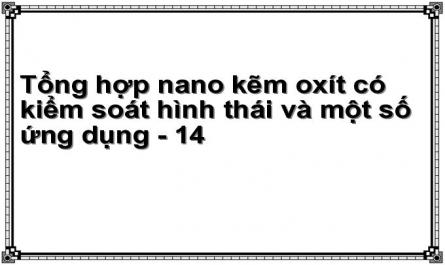 Ảnh Sem Của Các Mẫu Tổng Hợp Ở Các Nhiệt Độ Thủy Nhiệt Khác Nhau