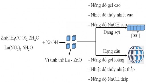 Sơ đồ 3 3 Sơ đồ minh họa sự hình thành La ZnO dạng sợi và dạng cầu 3 4 2